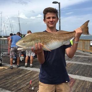 Meet your Posher, Christopher